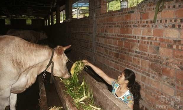 ������ӵ�����Լ�����ţ��ֳ�������������������ӵ��ж����ɾ����Լ���һ����ҵ��ÿ�����뾹�ܴＸ���򣬿�ν����־��ΰ���Ůǿ��