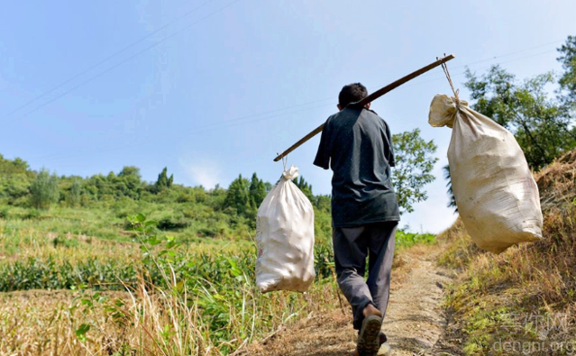 ����ƶ�ֻҪ���Ŭ�����ͻ���Ϻ����ӣ�������������ƶ���ʧȥ��˫�ۣ���͵ø��������Ŭ�������Լ����ú�һ��