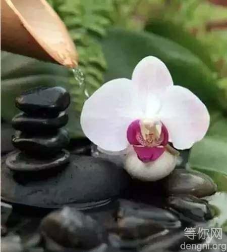 �������������ǲ����ȡ��Ҳ����������Ϊ��������û��׷�󣬶���ƽ����������̹Ȼ�Ͱ��飬�볾��Զһ�㣬����Ȼ��һ�㡣