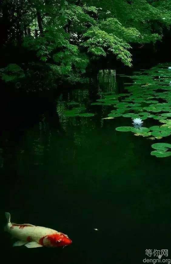 �˼ʽ����У����������顢���Ÿ����׸����ԺøС�΢Ц������ò�����У��������������ů��