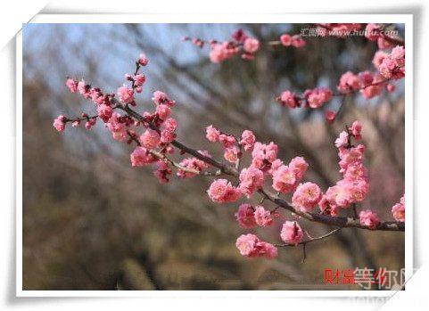 ������Ի򲻶ԣ�����ʶ�����������ڡ����ҵ���������һ��������������������������ˮ��Ȼ��һ��ȥ�����ػ�ζ��