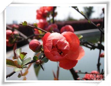 ����֮����ϵ����ϵ���Ҷ����鲻�Խ������������Ρ���ô������վ����ɫ�У�վ������ĬĬ��ף���㣬ȴҲʼ�ղ�Ըһֱռ��������顣