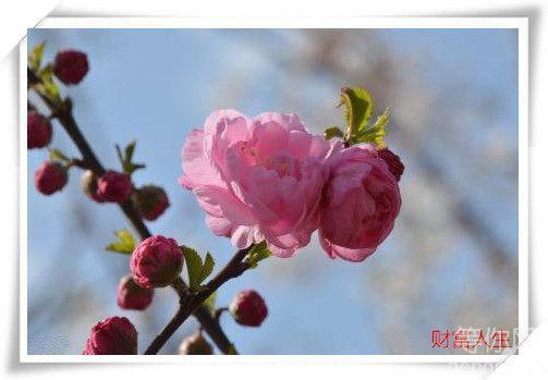 ����������⣬�����ý���ʲô��ֻԸ�������۱�������Ӱ����δ����ĳһ�죬�ܹ���һ����ʵ�ĸ���ͣ����Ϣ��