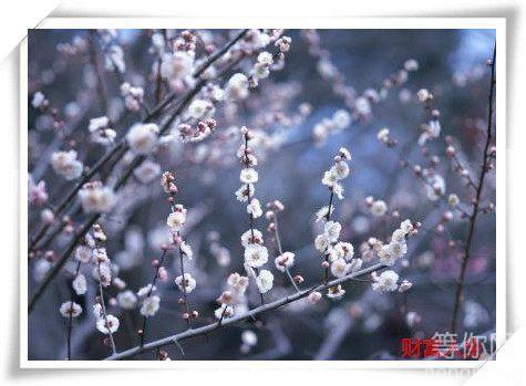 ���򲻰����Ҷ������ҵķ�ʽ�м��㡣���ۺ�ʱ�εأ�ͷ�����ǲ��õ����⣬������ǣ����Ĺ��ߡ����������������������������һ᲻�����������㶼������������ԭ�ϣ��Ƕ�ʥ���ѩ���������۶����Ҹ��ؿ��������