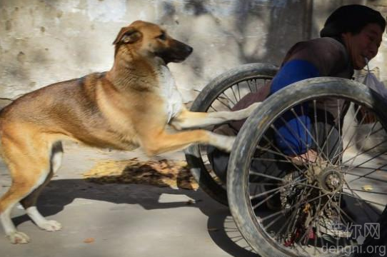 ����ʦ��˵����ֻ����������·�߼��ˣ���ʱ�������̣����ǿ���������ʱ��ʦ������Ҳ��Ϊ���������޿���