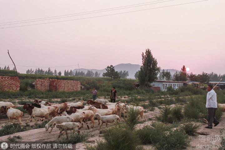 ���ú���ׯ�ڣ���Ǯ�����ϴ�ѧ�����ڴ�ڷ����ʷ����˵������δ�����Ҹ�����������ڴ���