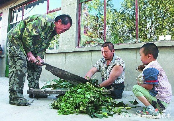 ������������ѵİ����£�ѧ������������Ь����Կ�׵�һ�����գ��ڴ�ҵİ�����֧���°�������ֳ�����򣬴Ӵ��������¸�֮·��