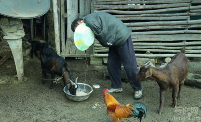 û���ֱ۵Ĵ�磬���������������ѿ����֪�ˣ������ƾ�ż��͵���������Ȼ����ͽ���ȫ�������ֱۡ�