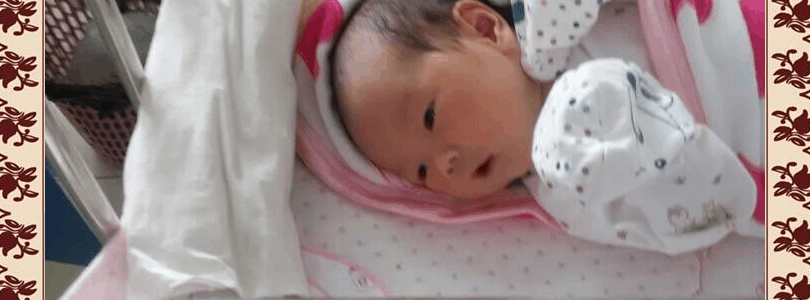 ���ջ�������ı���